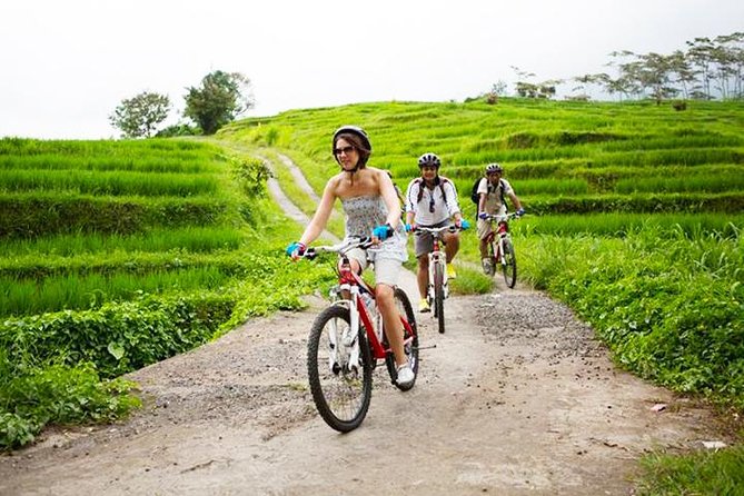 Bali UNESCO World Heritage Site: Jatiluwih Rice Paddy Cycling Tour - Tour Overview