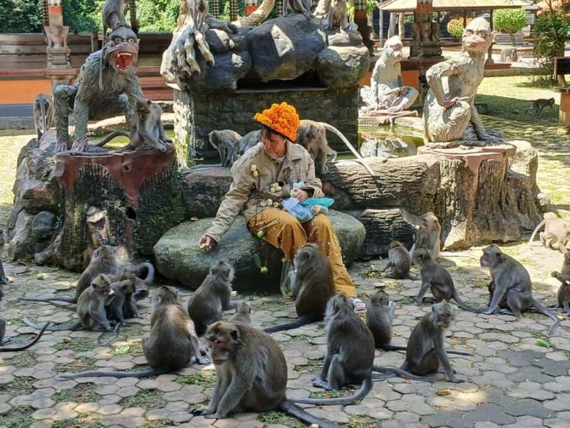 Bali: UNIQUE ACTIVITY OF FEEDING MONKEYS - An In-Depth Look at the Bali Monkey-Feeding Tour