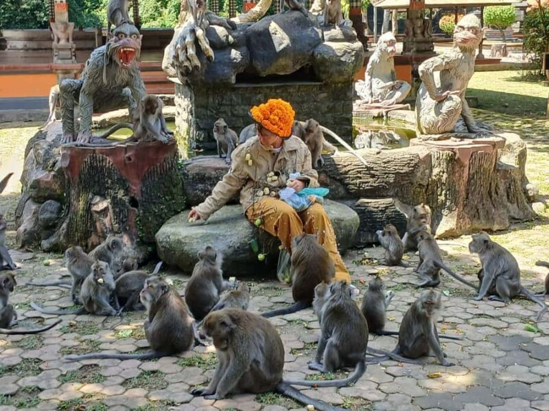 Bali: UNIQUE ACTIVITY OF FEEDING MONKEYS - Good To Know