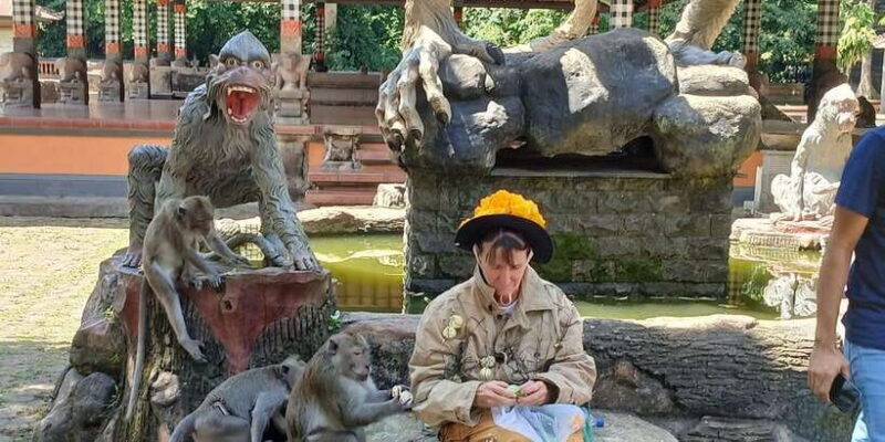 Bali: UNIQUE ACTIVITY OF FEEDING MONKEYS - Itinerary Breakdown