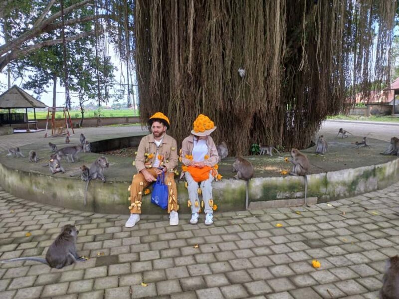 Bali: UNIQUE ACTIVITY OF FEEDING MONKEYS - Final Thoughts