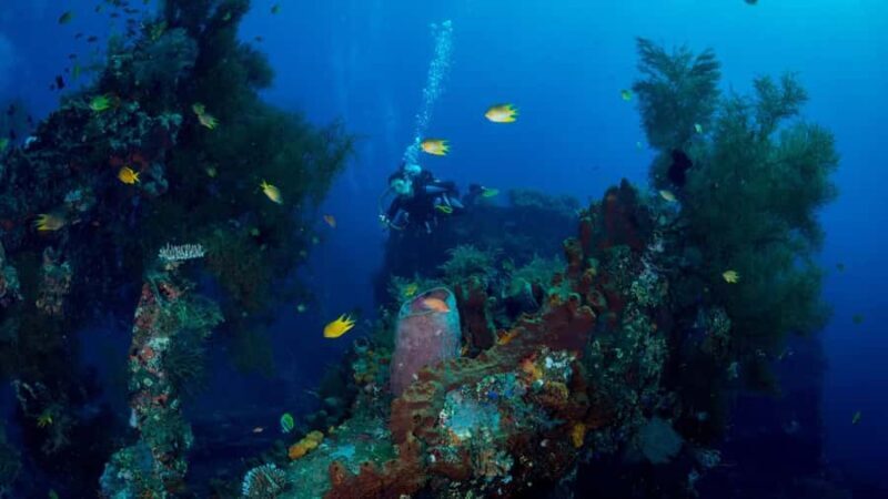 BALI: USAT SHIPWRECK DIVE WITH HOTEL TRANSFERS & LUNCH - An Introduction to the USAT Liberty Dive Tour in Bali