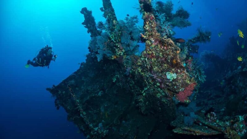 BALI: USAT SHIPWRECK DIVE WITH HOTEL TRANSFERS & LUNCH - Good To Know
