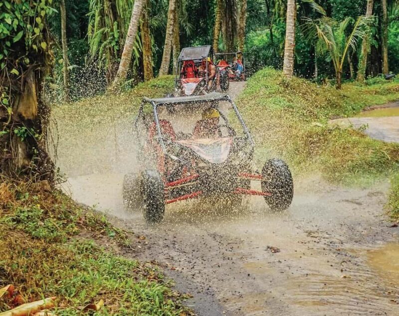 Bali: UTV Buggy and Zipline Adventure with Meal - An Adventure with a Clear Balance of Thrills and Scenic Beauty