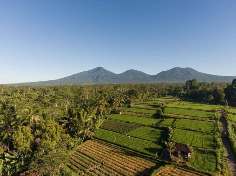 Bali: Village Cultural Tour with Cooking Class - An In-Depth Look at the Bali Village Cultural Tour