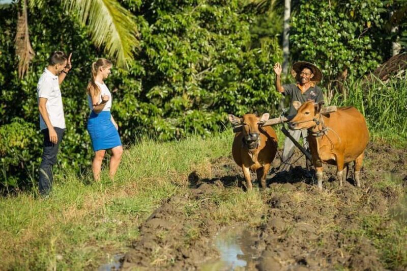 Bali: Village Cultural Tour with Cooking Class - Good To Know