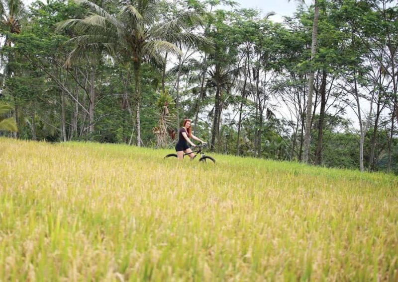 Bali: Village Cycling, Farm Tour & River Tubing in Ubud area - Why This Tour Offers Great Value