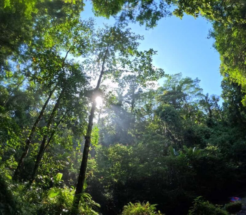 Bali: Village Cycling, Farm Tour & River Tubing in Ubud area - Frequently Asked Questions