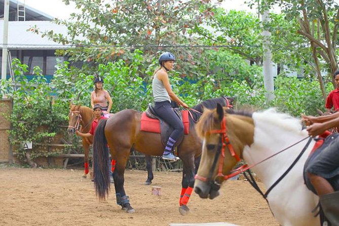 Bali Village Experience Horse Ride - Package Details