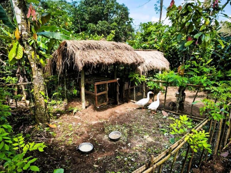 Bali Village Sunset Experience  Jamu, Local Sweets & Dinner - Good To Know