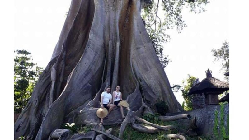 Bali: Village Tour with Coconut Oil and Chocolate Factory - A Deep Dive into the Bali Village Tour