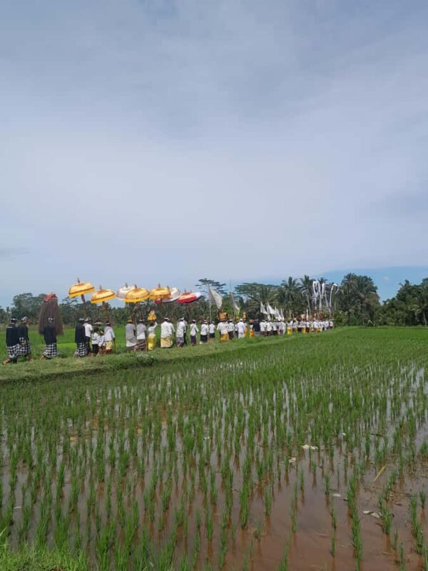 Bali: Village Tour with Coconut Oil and Chocolate Factory - Authentic Experiences That Make This Tour Stand Out