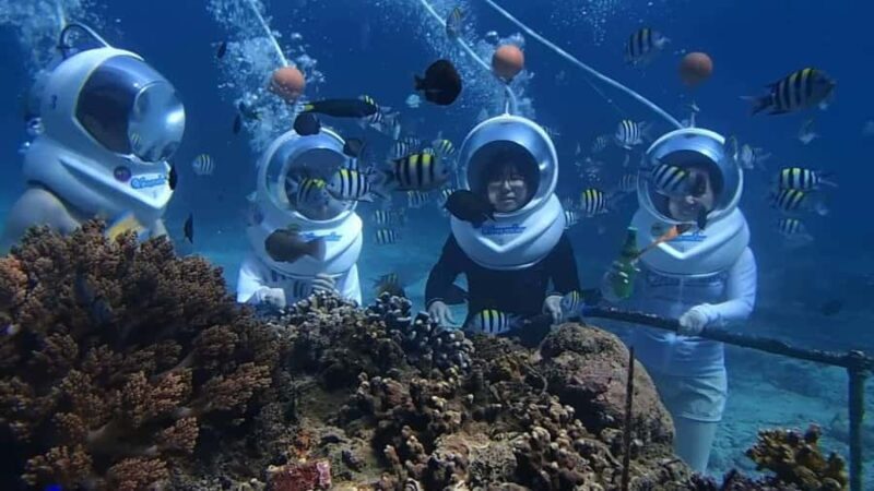Bali Vip: Sea Walker Under Water Experience - What Is the Bali Sea Walker Experience?