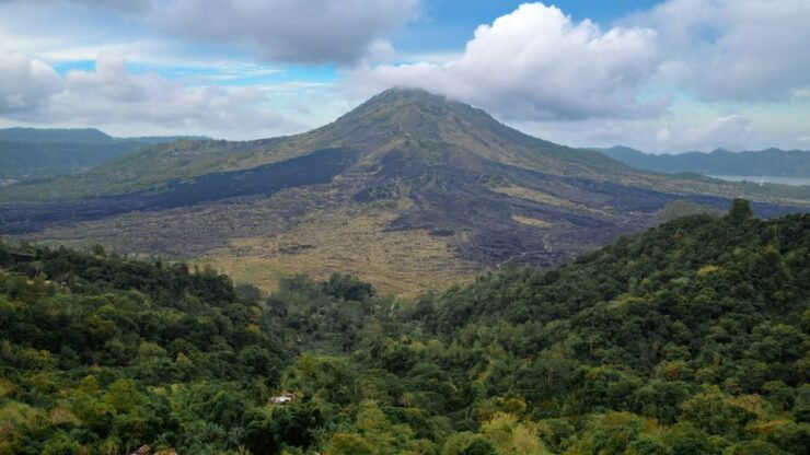 Bali Volkswagen Safari and Kintamani Volcano Tour - Tour Details