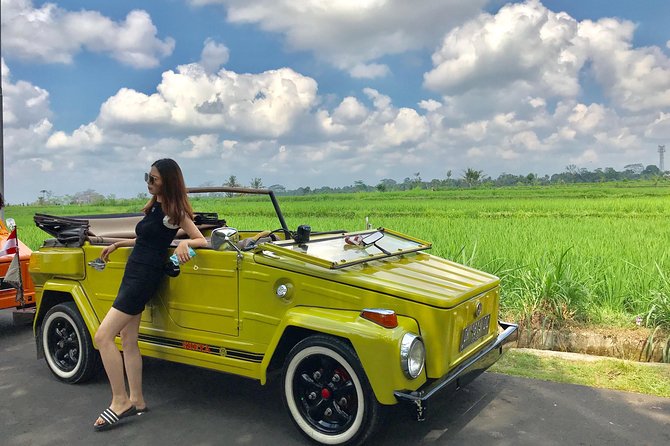 Bali VW Island Safari Private Sightseeing Tour (Feb ) - Tour Overview