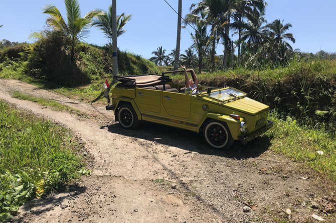 Bali VW Island Safari Private Sightseeing Tour (Feb ) - Booking Details