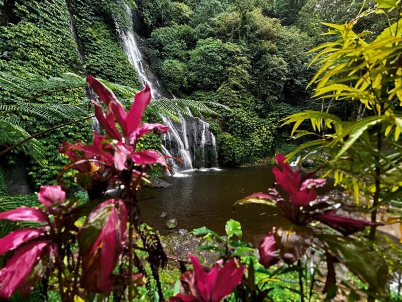 Bali: Wanagiri, Banyumala Twin Waterfall, Ulun Danu Bratan - FAQs