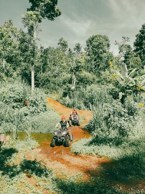 Bali: Wanagiri Quad Bike Explore And Waterfall Adventure - Key Points