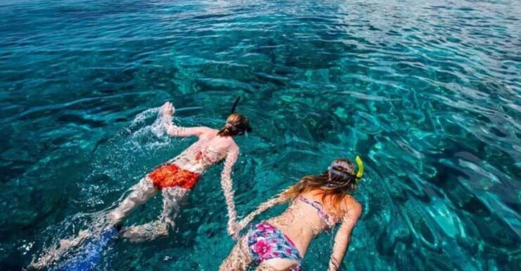 Bali: Watching Dolphin, Snorkeling & Hot Spring Tour - Tour Inclusions and Features