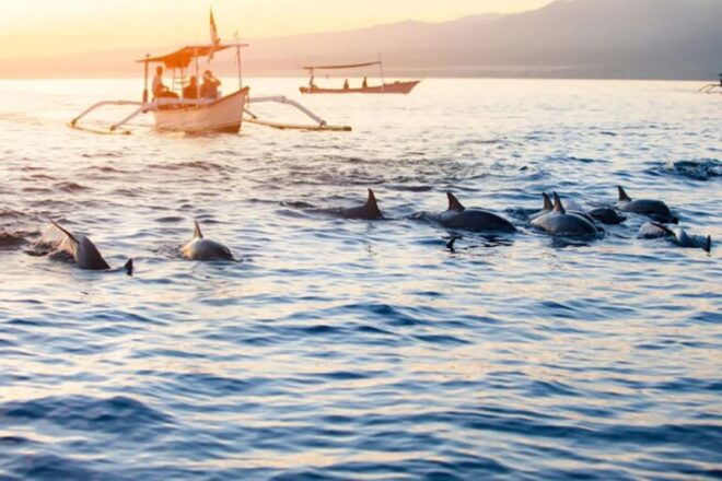 Bali: Watching Dolphin, Snorkeling & Hot Spring Tour - Detailed Itinerary and Activity Highlights