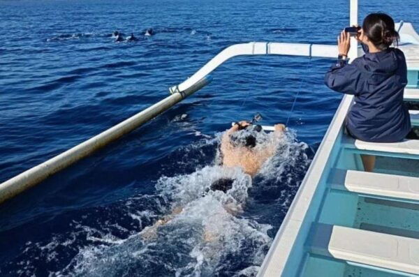 Bali: Watching Dolphin, Swimming & Snorkeling Tour - What to Bring