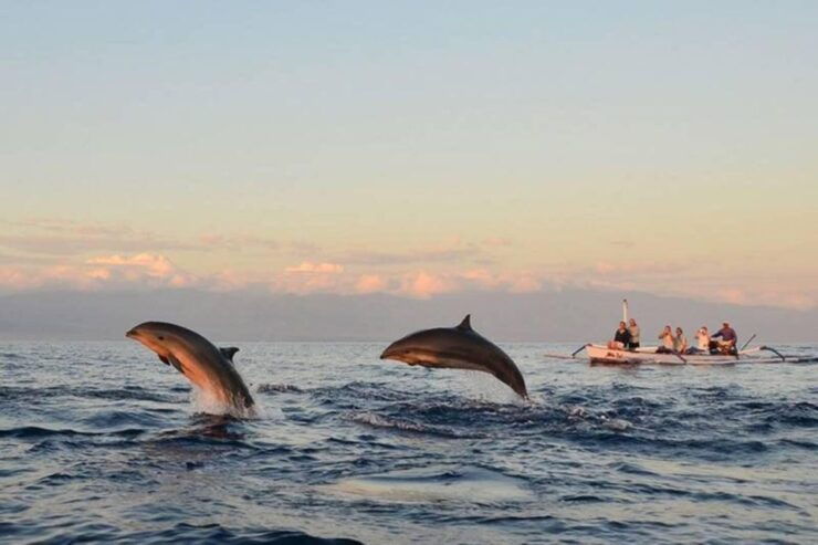 Bali: Watching Dolphin,Snorkeling & Hot Spring - Booking Details and Flexibility