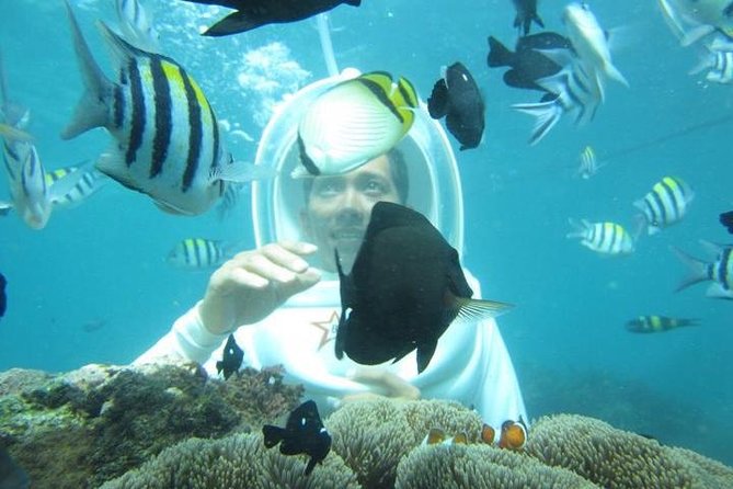 Bali Water Sport : Sea Walker,Donut Boat and Banana Boat With Hotel Transfers - Pricing and Booking Details