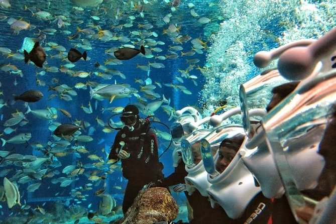 Bali Water Sports: Sea Walker, Parasail, Jet Ski, Hotel Pickup (Feb ) - Package Inclusions