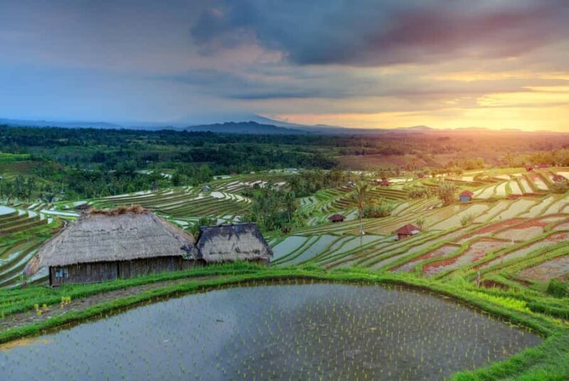 Bali: Water Temple, Waterfalls and Unesco Rice Terrace Tour - FAQs