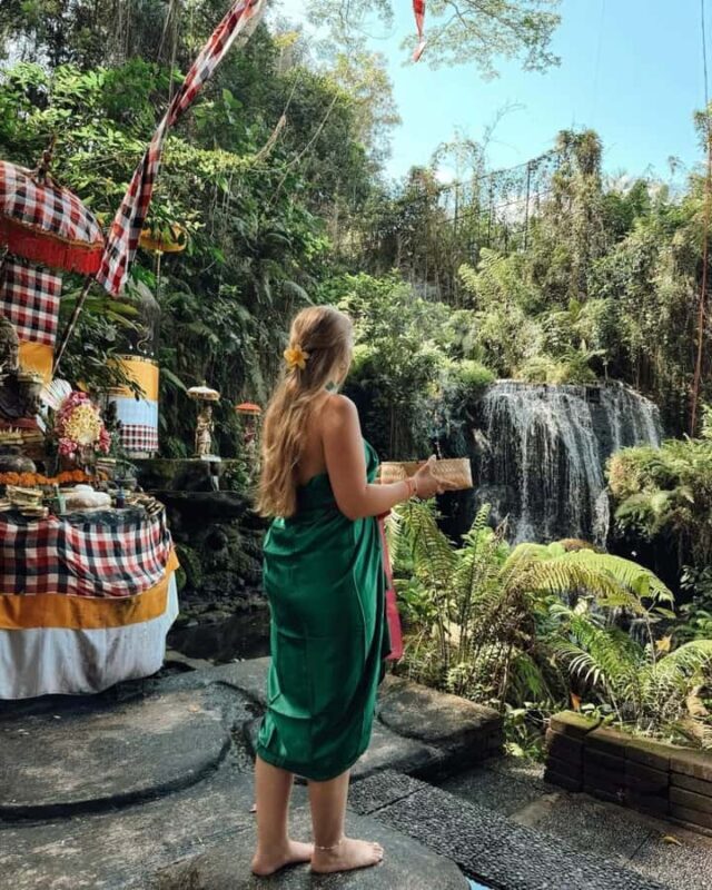 Bali: Waterfall, Coffee Plantation, & Rice Terrace Tour - Who Will Love This Tour?