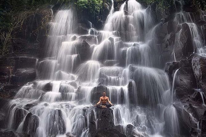 Bali: Waterfall Day Tour - Tour Highlights