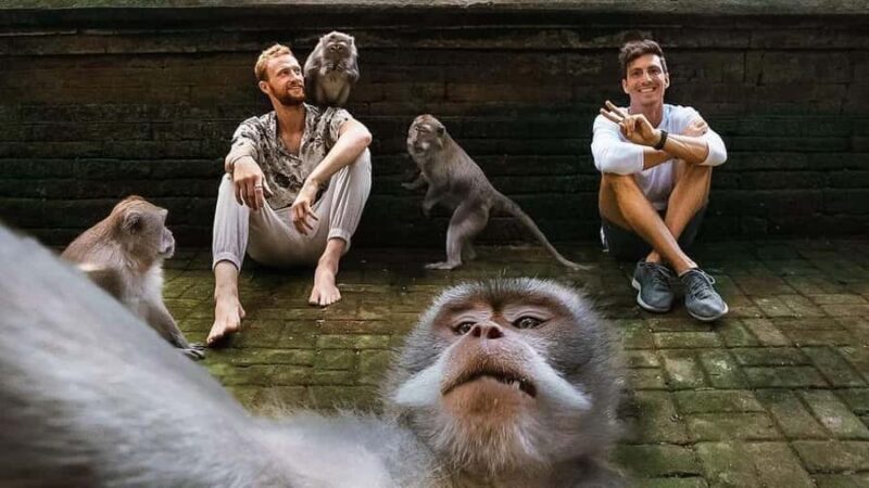 Bali Waterfall Gorilla Cave ATV, Rafting and Monkey Forest - Practical Details