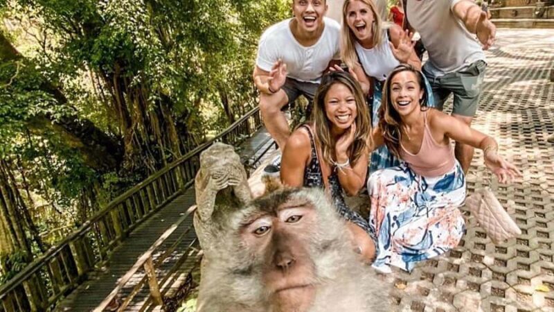 Bali Waterfall Gorilla Cave ATV, Rafting and Monkey Forest - FAQ