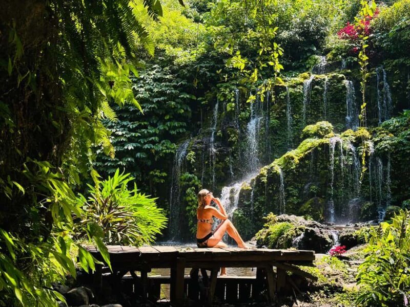 Bali: Waterfall in the forest & twin lake view tour - Good To Know