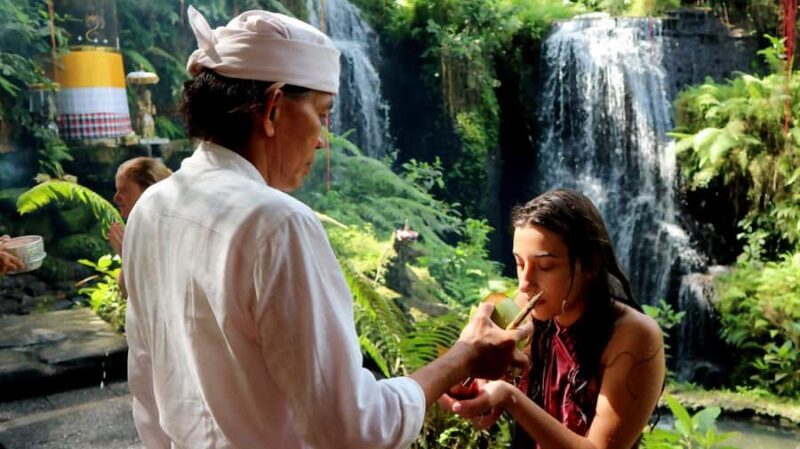 Bali: Waterfall Purification Ritual and Coffee Tour - Exploring the Tour in Depth