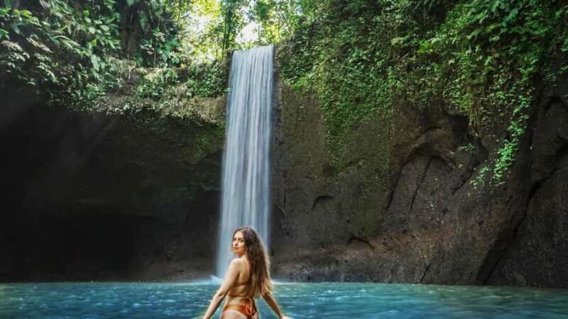 Bali: Waterfall, Tirta Empul & Traditional Village Day Trip - A Deep Dive into What You Can Expect