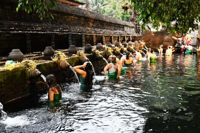 Bali: Waterfall, Tirta Empul & Traditional Village Day Trip - Final Thoughts