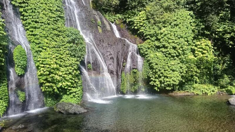 Bali: Waterfalls, Lake Buyan, and Honey Farm Tour - Practicalities and Logistics