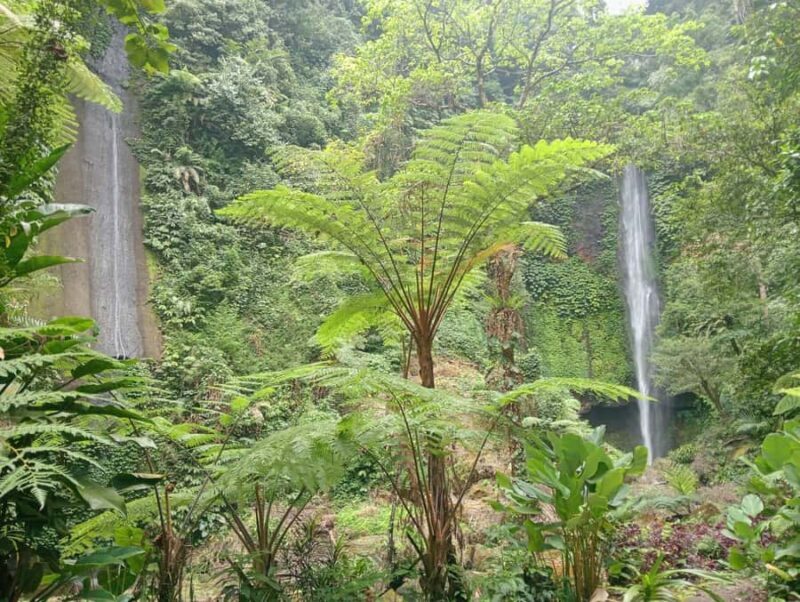 Bali: Waterfalls, Lake Buyan, and Honey Farm Tour - Introduction: An Exciting Day of Natural Wonders