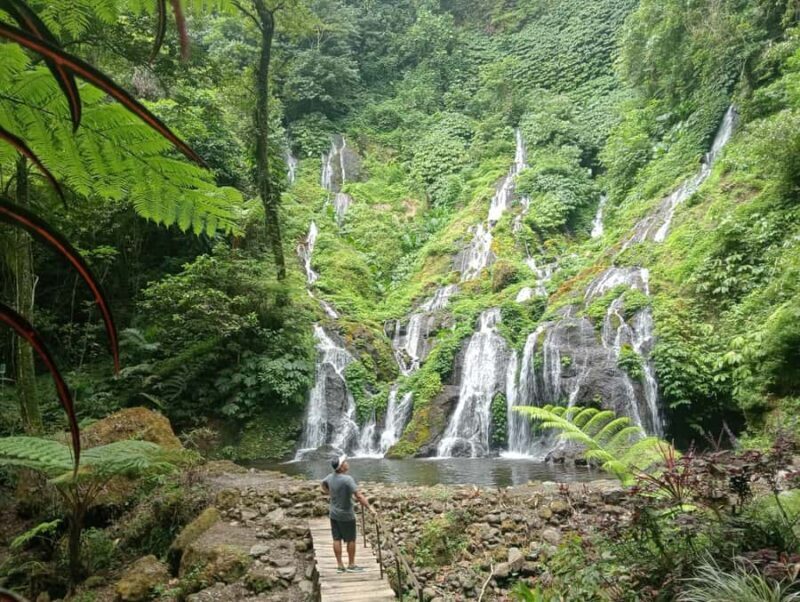 Bali: Waterfalls, Lake Buyan, and Honey Farm Tour - What Makes This Tour Special?