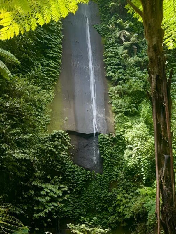 Bali: Waterfalls, Lake Buyan, and Honey Farm Tour - Practicalities & Value