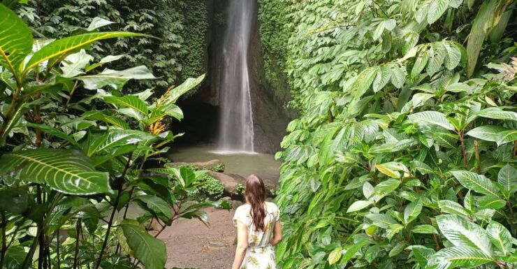 Bali Waterfalls Quest, Discover 4 Waterfalls in 1 Day - Waterfall Exploration in Bali
