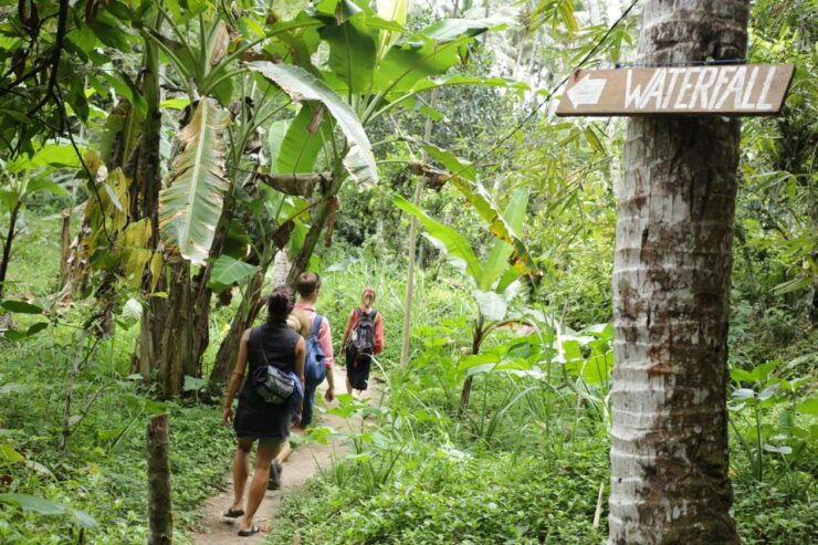 Bali Waterfalls Quest, Discover 4 Waterfalls in 1 Day - Scenic Hike at Tukad Cepung