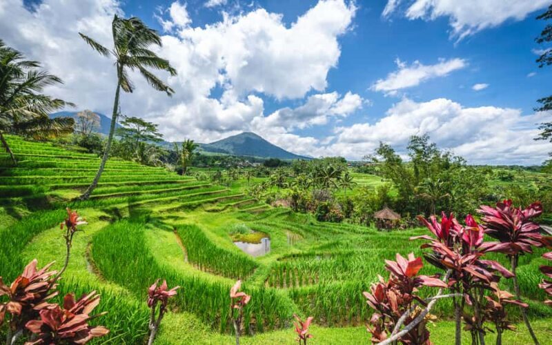 Bali: Waterfalls, Temples, and Rice Terraces Scenic Tour - FAQ