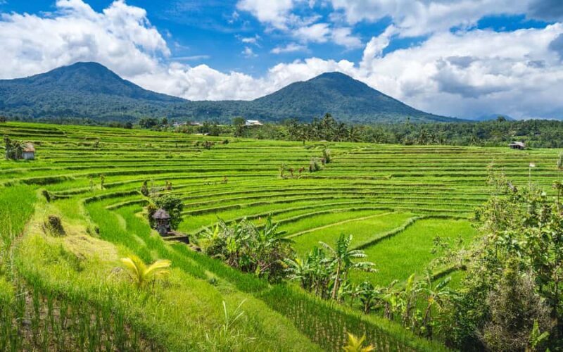 Bali: Waterfalls, Temples, and Rice Terraces Scenic Tour - FAQs