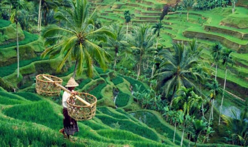 Bali: Waterfalls, Temples, and Rice Terraces Tour - FAQ