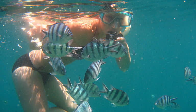 Bali Watersport Packages in Tanjung Benoa - Choose Your Water Sport at Tanjung Benoa