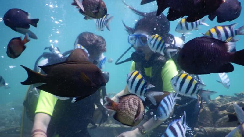 Bali: Watersport Scuba Diving Jetski Dunut Boat Exclusive - Good To Know