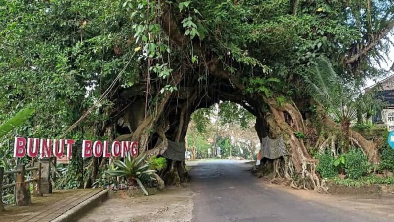 Bali: West Bali Private Tour with Lunch and Transfers - Good To Know