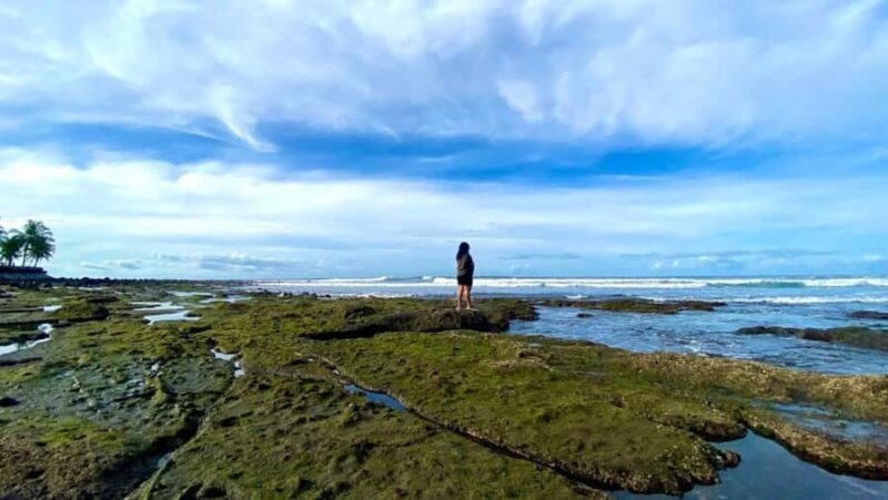 Bali: West Bali Private Tour with Lunch and Transfers - A Deep Dive into the Itinerary